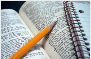 Guia Definitivo: Adjunto Adnominal vs. Complemento Nominal – Desvende a Diferença de Vez!